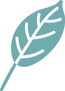 leaf logo teal